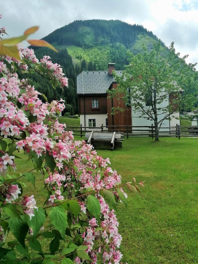Ferienwohnung himmlisch urlauben St. Nikolai Sankt Nikolai im Sölktal Exterior foto